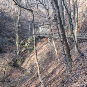Eine Wienerwald-Überschreitung – von Mauerbach nach St. Andrä-Wördern