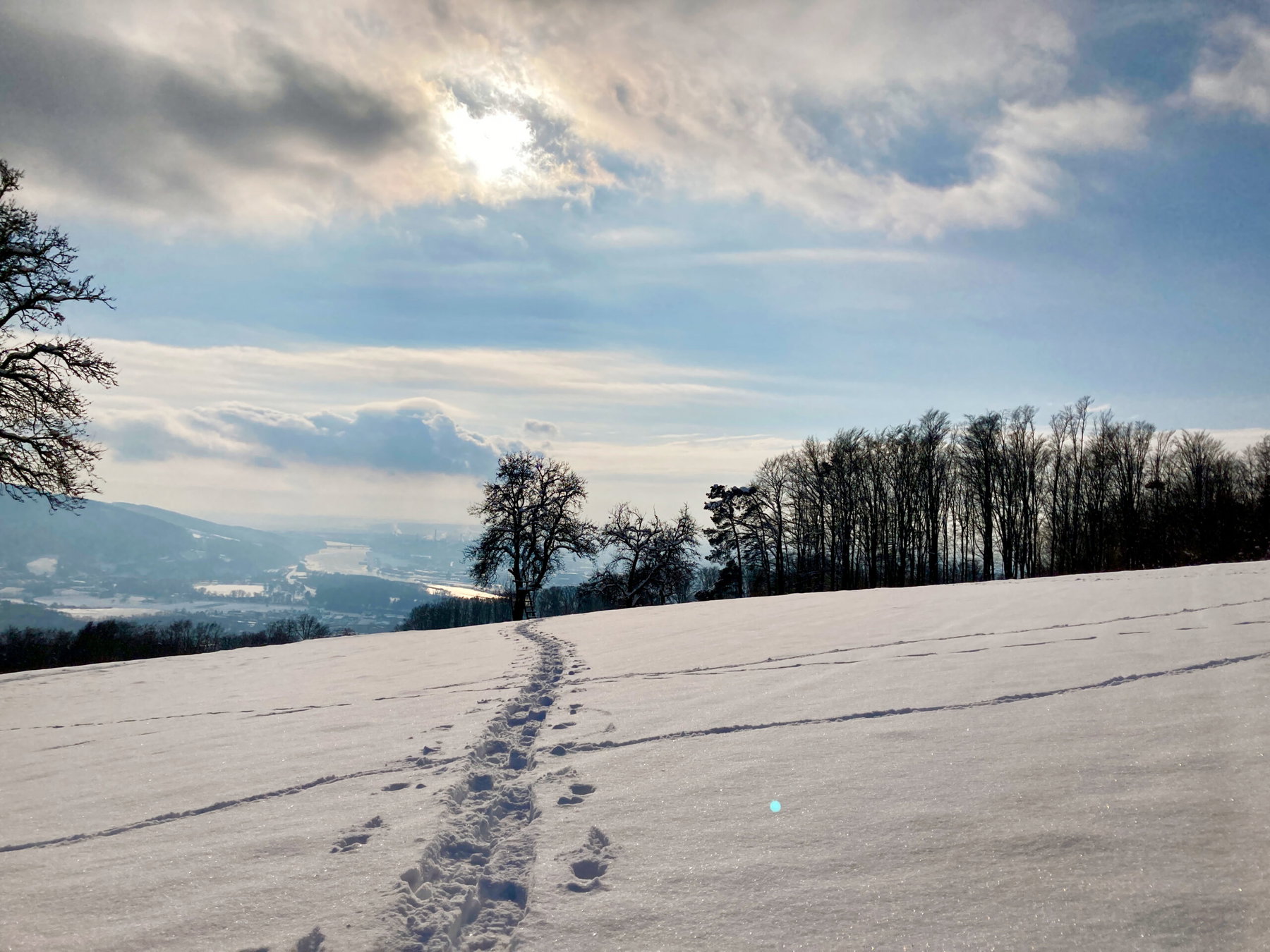 Mit Schneeschuhen zum höchsten Punkt von Linz