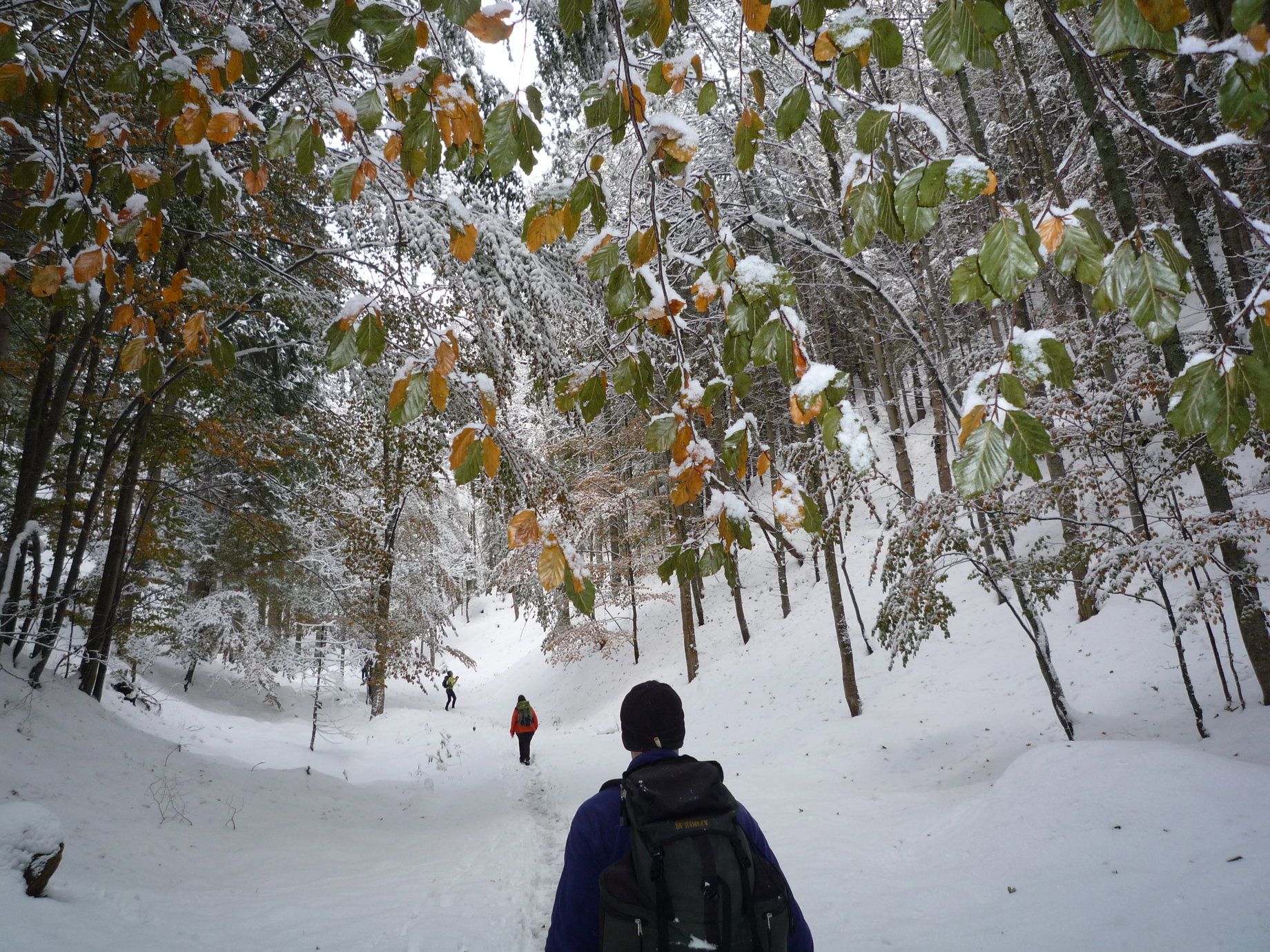 Im Promischkagraben. Foto: Alpenverein Edelweiss