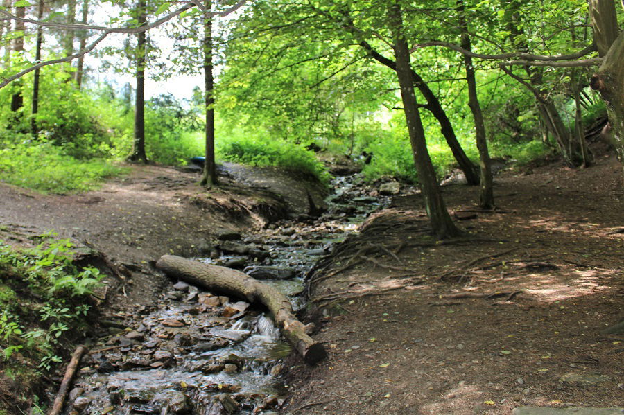 32 WohlfühlWeg „Im Weitental“