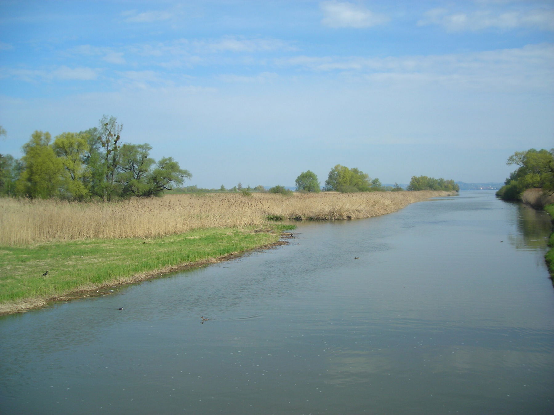 41 Natura Trail „Das Rheindelta“