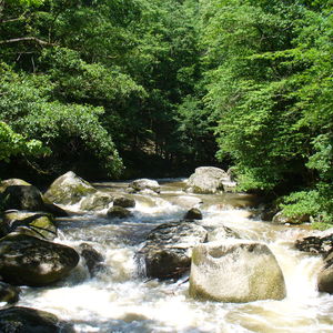 15: Natura Trail „Feldaist“