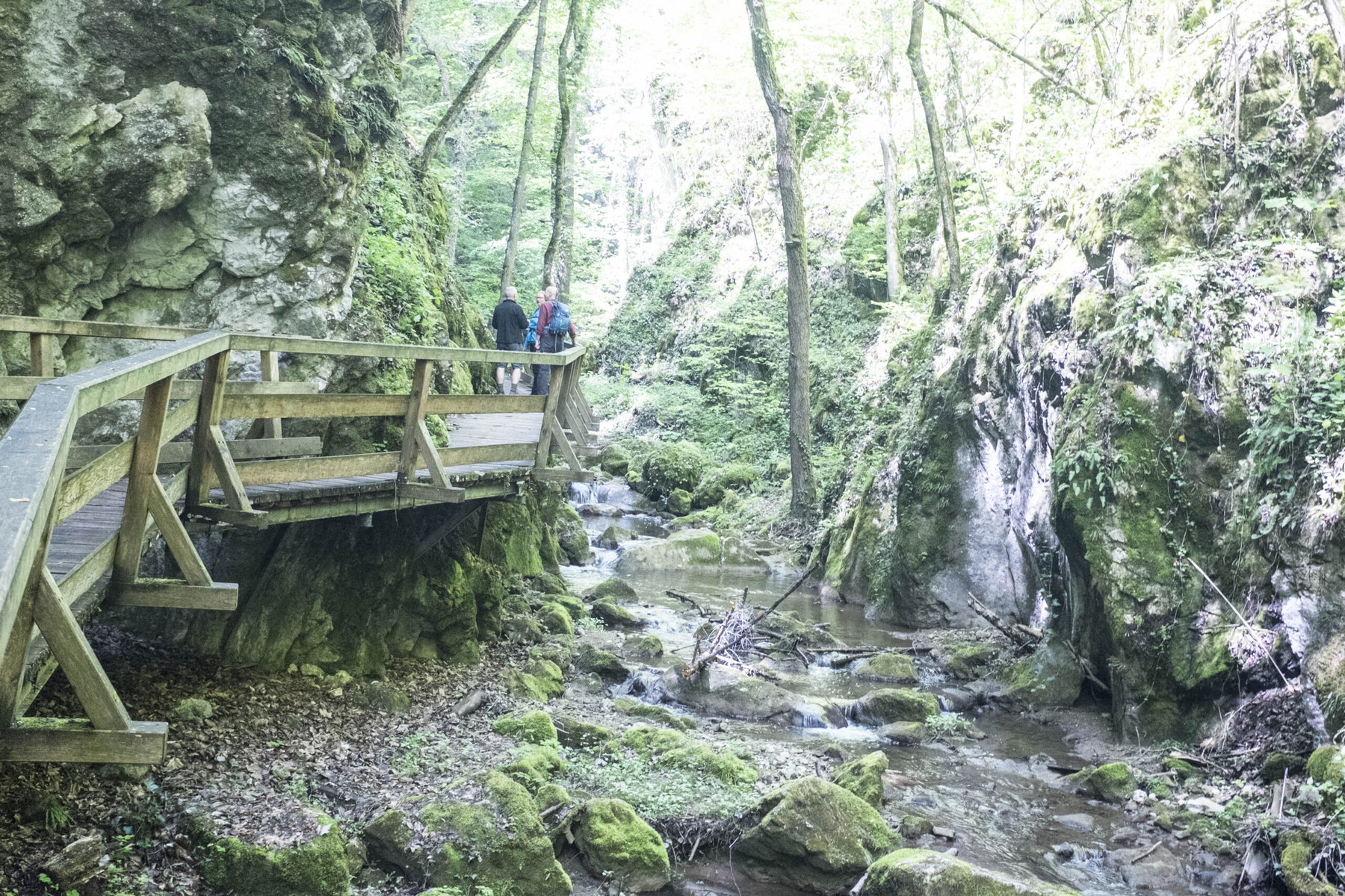 Vor dem Schneeberg – von Würflach nach Puchberg