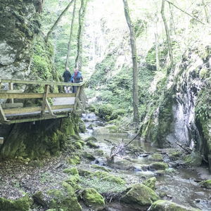 Vor dem Schneeberg – von Würflach nach Puchberg