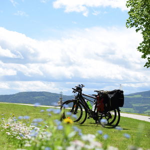 Radrundfahrt Naturpark Pöllauer Tal
