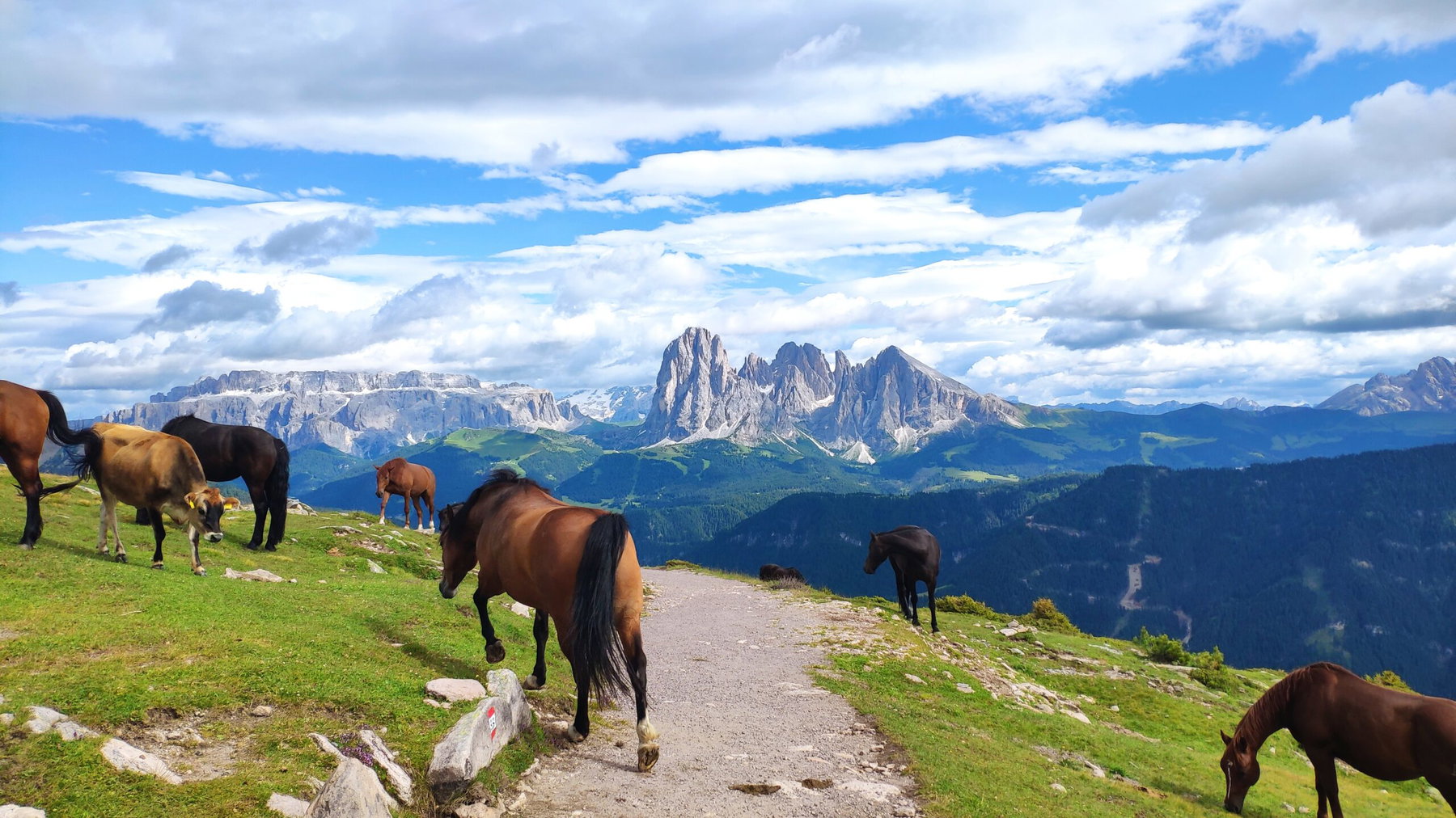 4 Tage in den Dolomiten – von Brixen nach Klausen