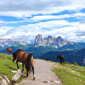 4 Tage in den Dolomiten – von Brixen nach Klausen