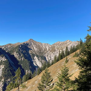 Frieder, Freude, Muskelkater