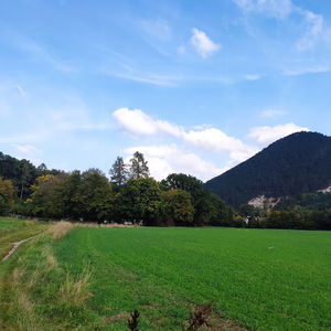 Auf Umwegen am Wienerwald Verbindungsweg – Teil 1