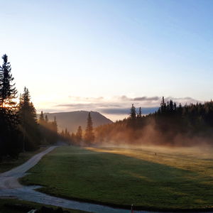 Von Payerbach nach Losenheim