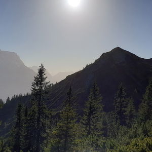 Hoher Ziegspitz über Stepbergalm