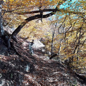 Die Ilz-Schleife – ein Naturschutzgebiet