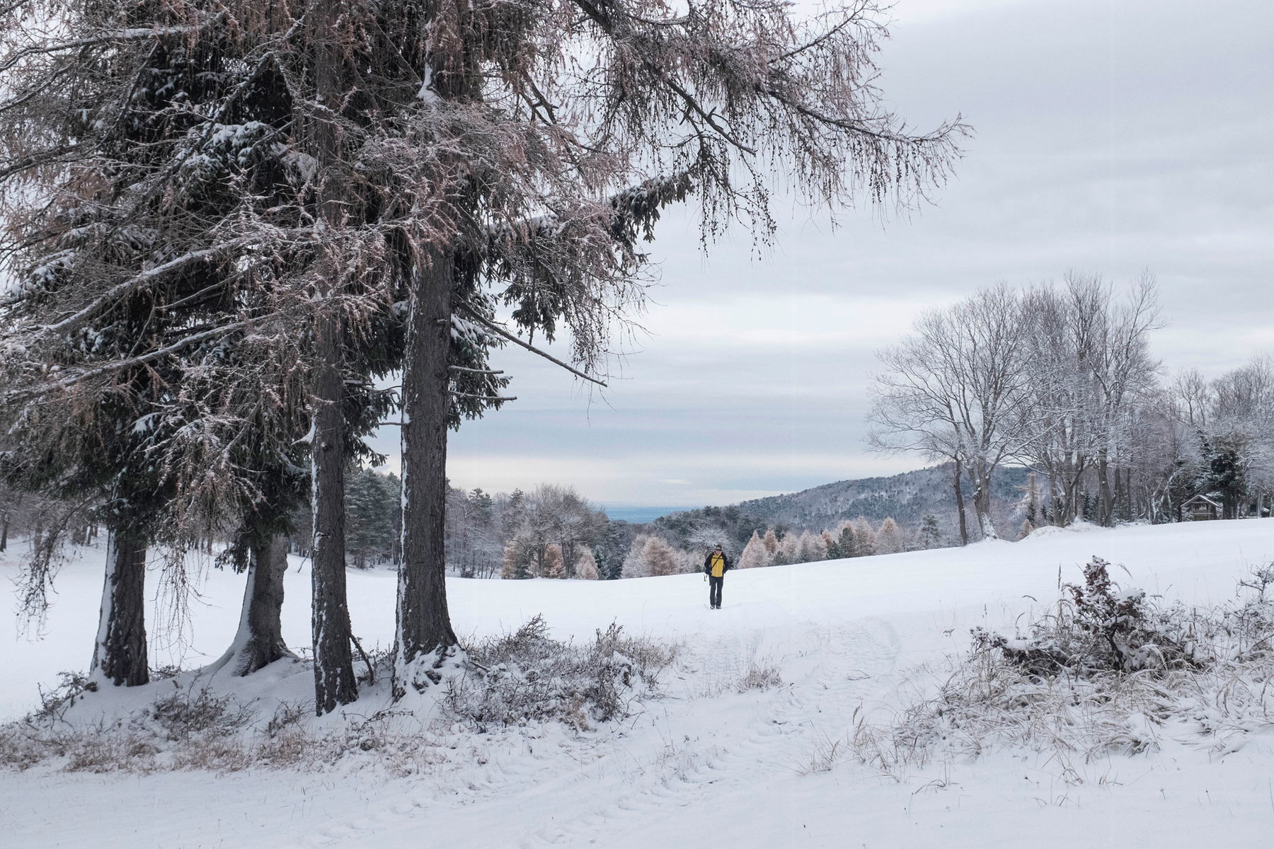 Vom Triestingtal ins Piestingtal