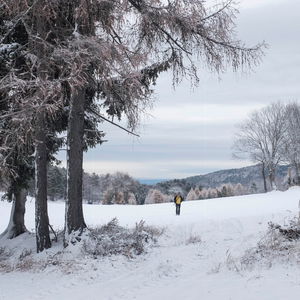 Vom Triestingtal ins Piestingtal