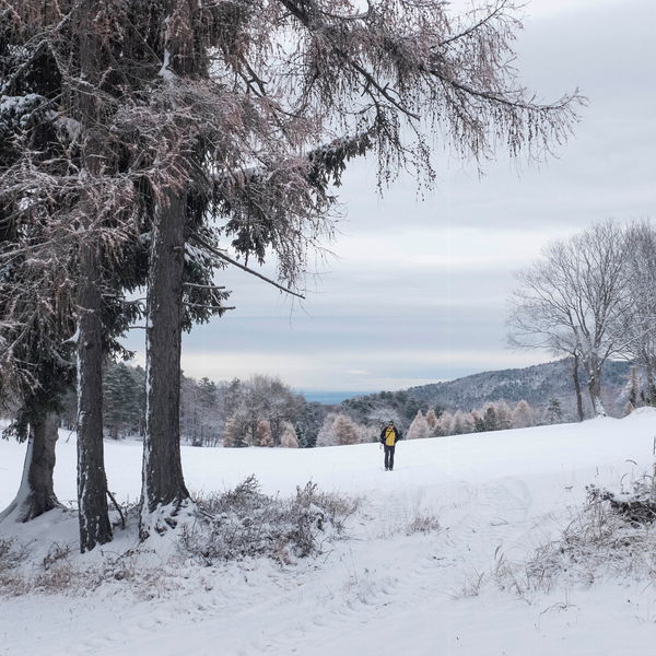 Vom Triestingtal ins Piestingtal