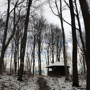 Am Wienerwald Verbindungsweg – Teil 2