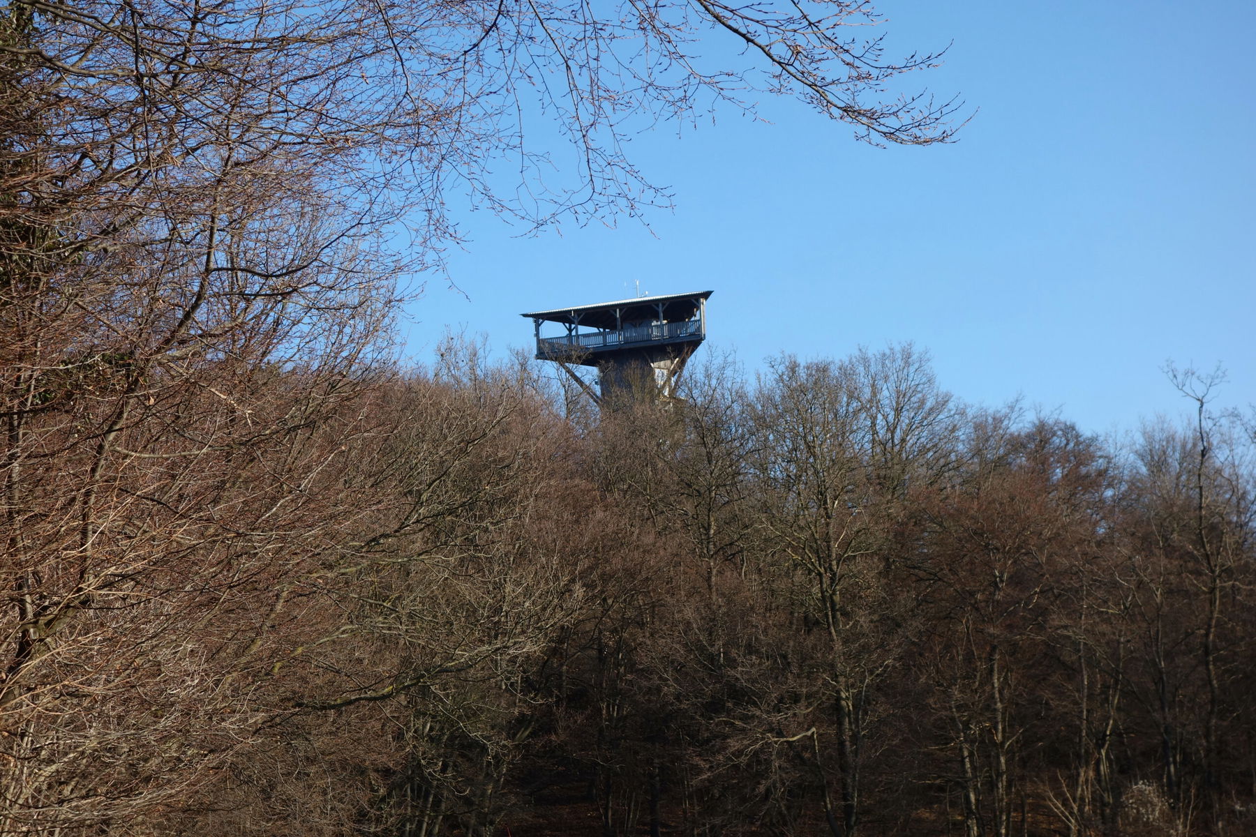 Die Warte am Buchberg