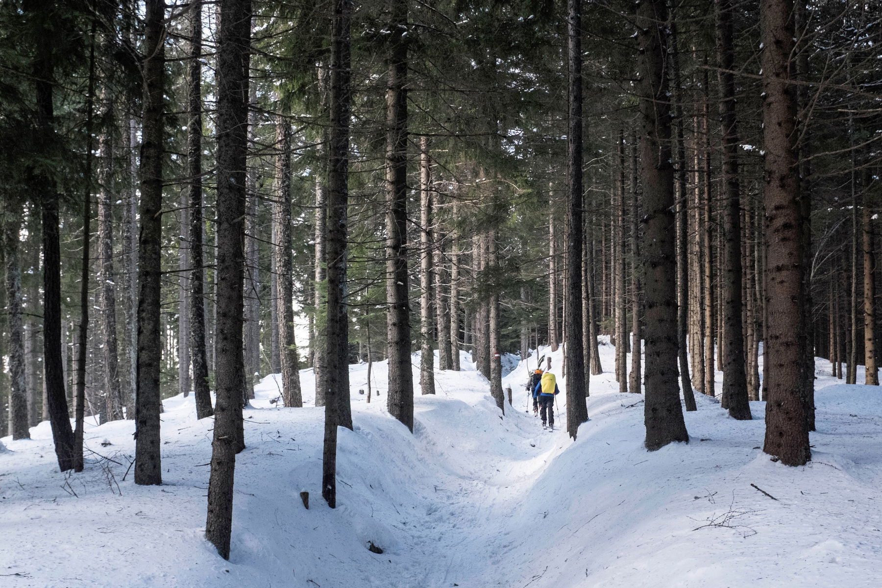 Öffi-Skitour auf den Kreuzschober