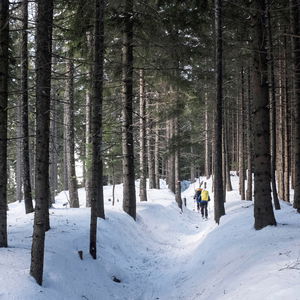 Öffi-Skitour auf den Kreuzschober