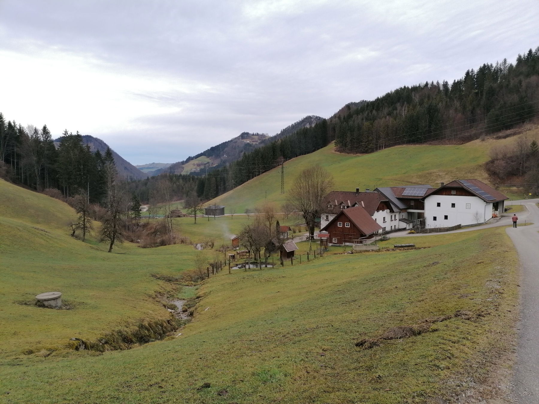 Von der schneelosen Forsteralm ins Ybbstal