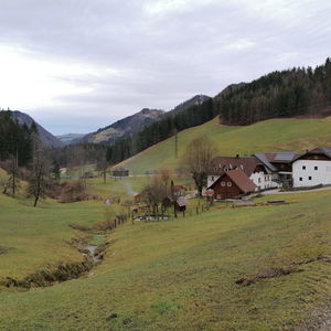 Von der schneelosen Forsteralm ins Ybbstal
