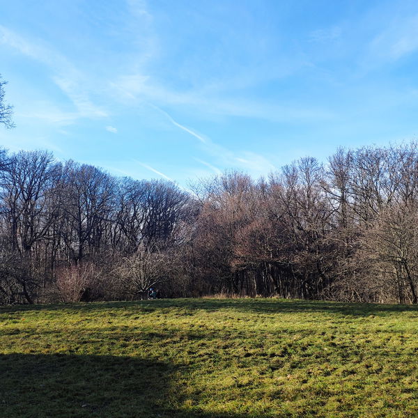 Wienerwald Verbindungsweg Teil 4