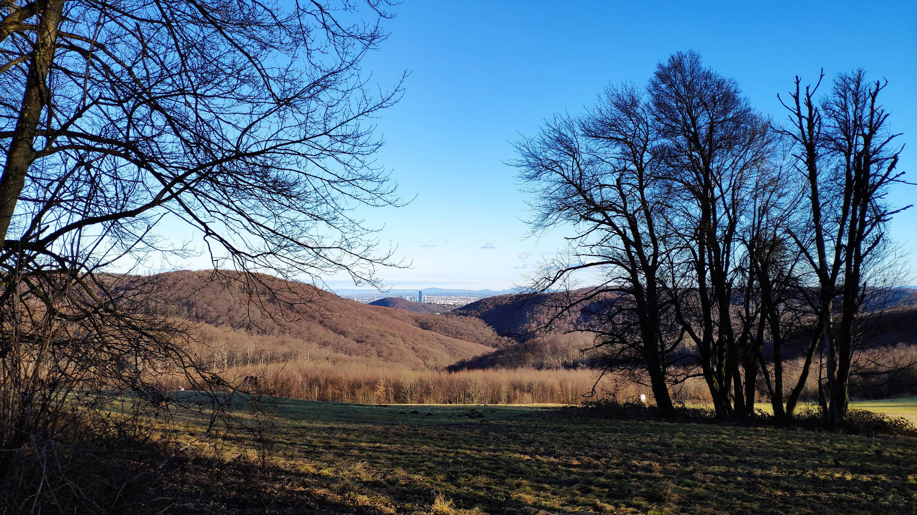 Am Wienerwald Verbindungsweg – Teil 3