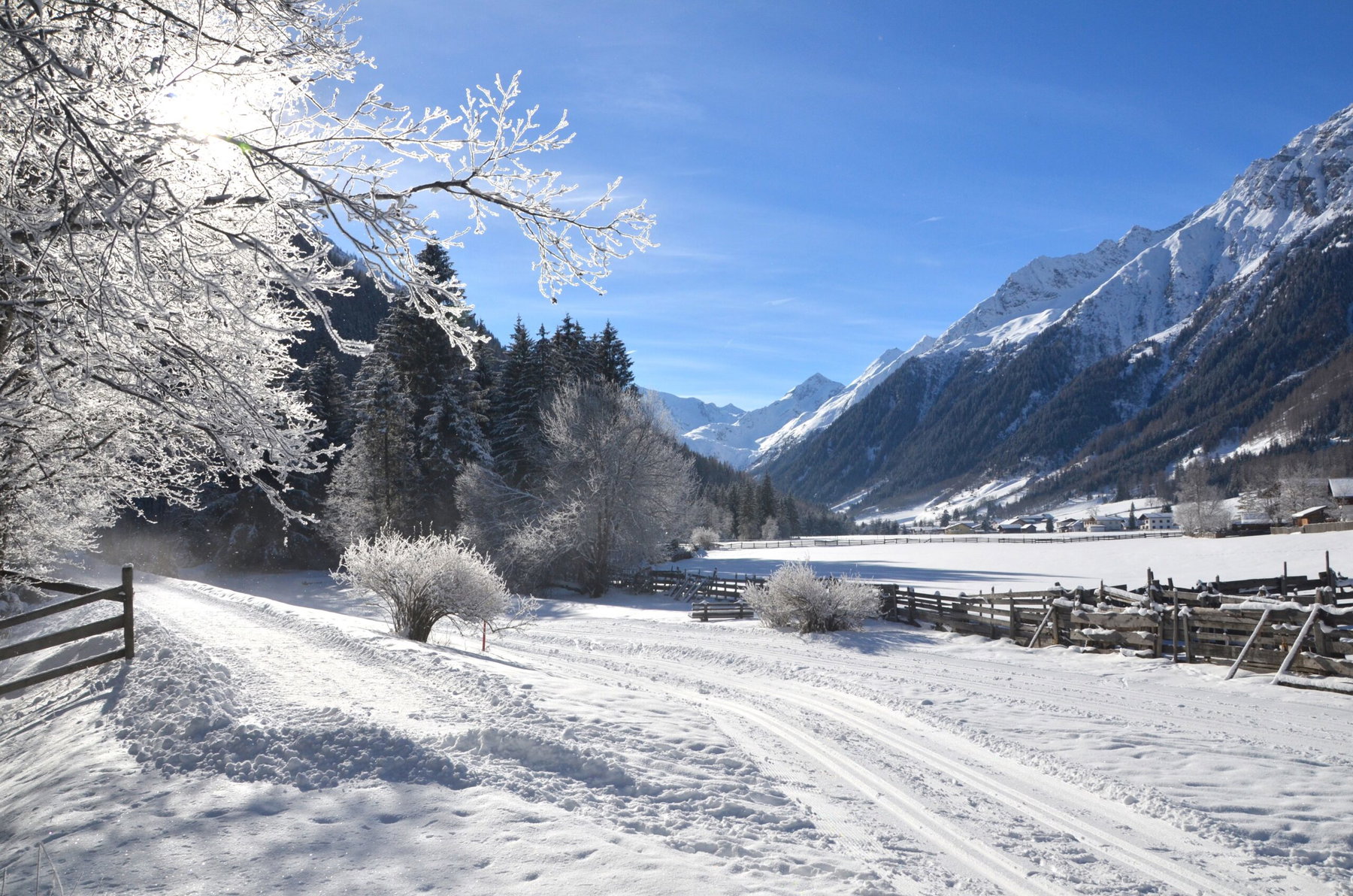Die Gschnitztal Loipe im Bergsteigerdorf