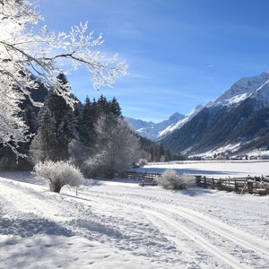 Die Gschnitztal Loipe im Bergsteigerdorf