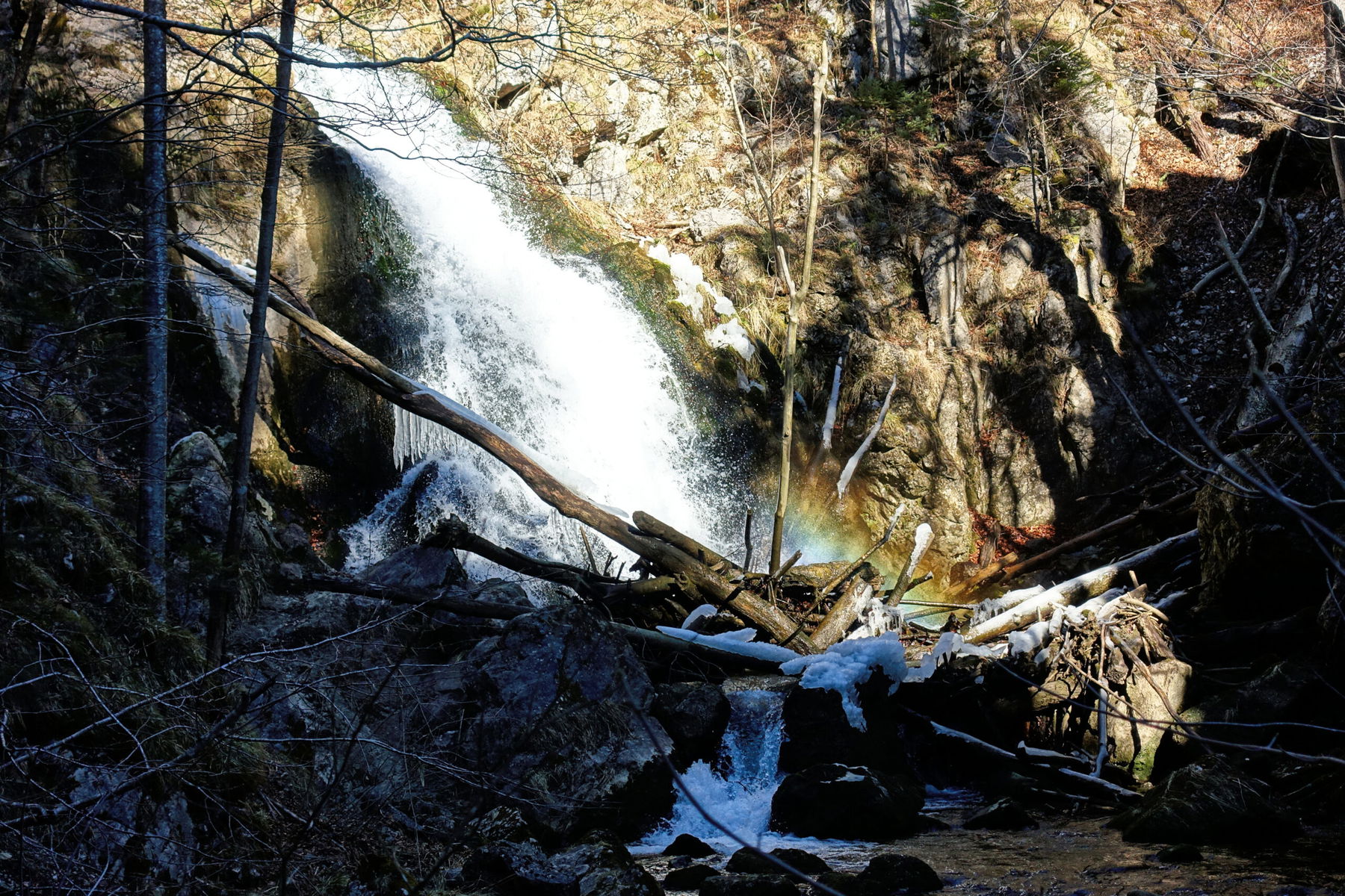 Frühlingswanderung an Erlauf und Trefflingbach
