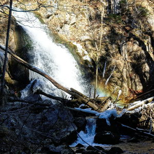 Frühlingswanderung an Erlauf und Trefflingbach