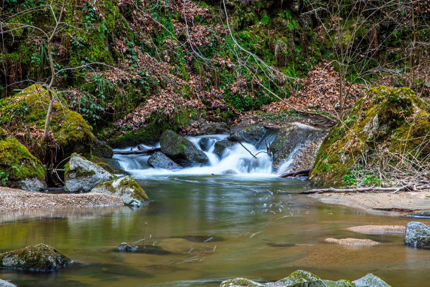 Durch das Pesenbachtal