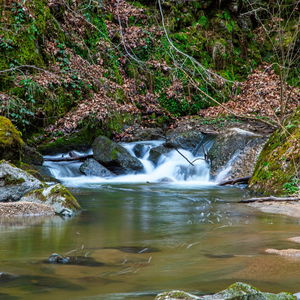 Durch das Pesenbachtal