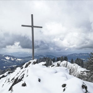 Hochhäderich und Falken