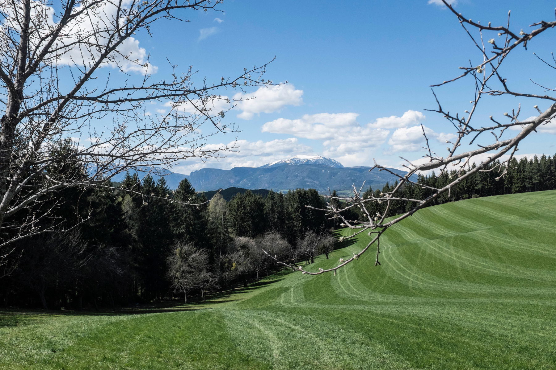 Wunderschöne Wald-und Wiesenwanderung von Kirchberg am Wechsel nach Scheiblingkirchen