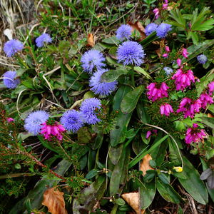 Gaißau – Wieserhörndl – Hintersee