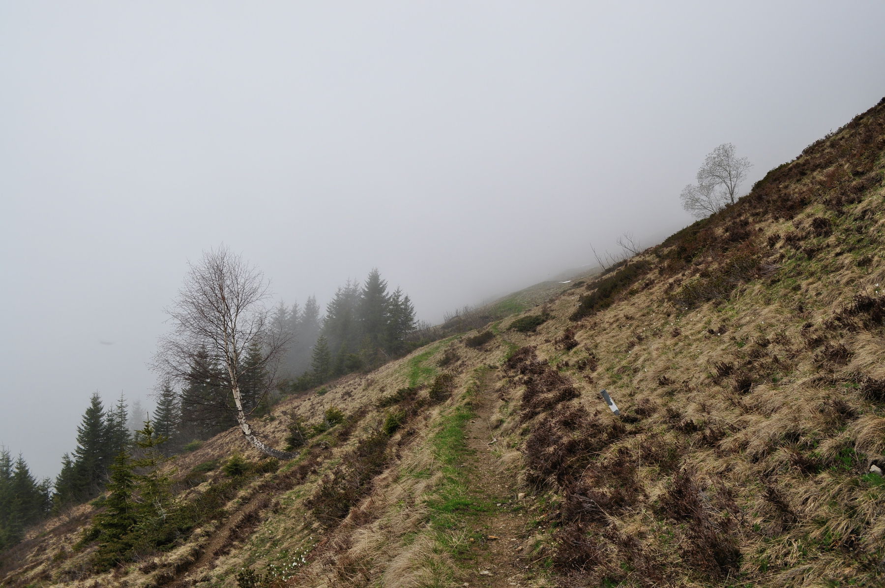 Alpwanderung am Walserkamm