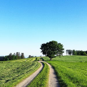 Gemütlich von Hellmondsödt über Pelmberg nach Linz wandern