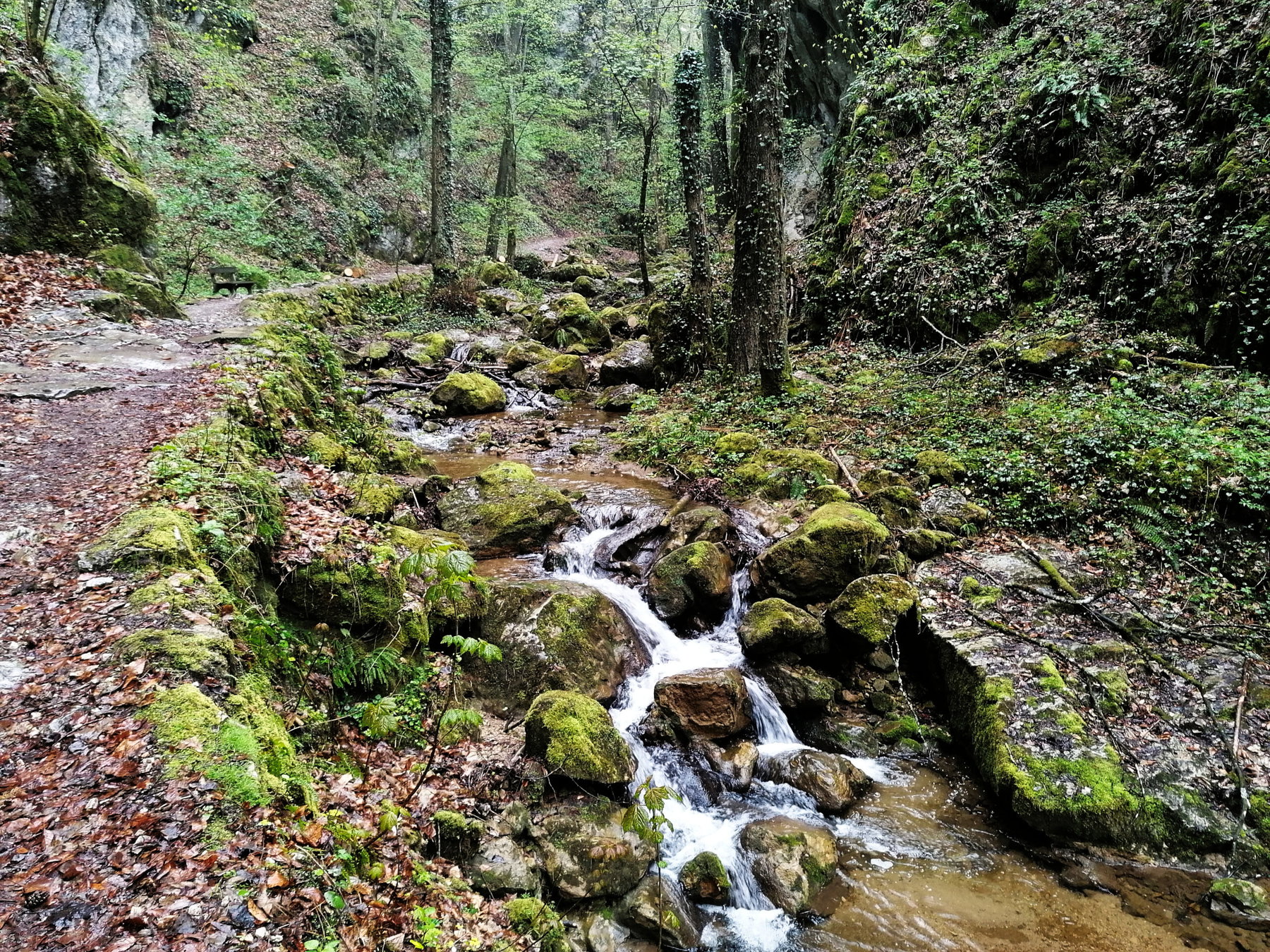 Fast spontan: Durch die Johannesbachklamm nach Neunkirchen