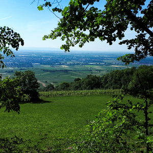 Baden – Anninger: Wandern und Kultur