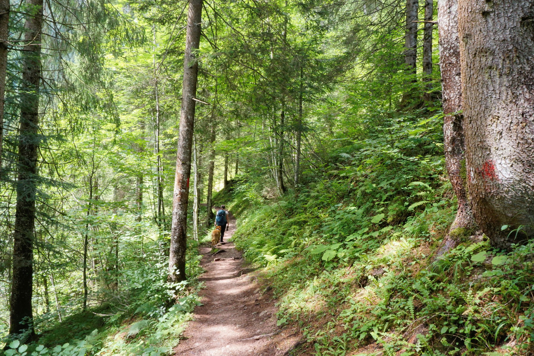 Mit Hund und Baby zum Naturdenkmal Birnbachloch