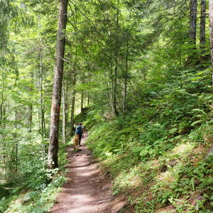 Mit Hund und Baby zum Naturdenkmal Birnbachloch