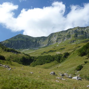 Zur Moosenalm am Achensee