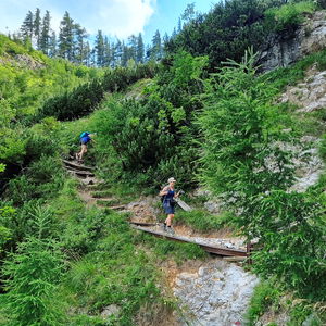 Über die Schneealpe