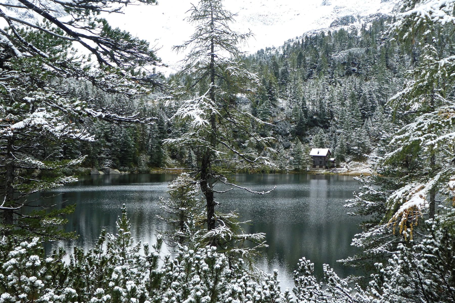 Palfnerscharte – Reedsee