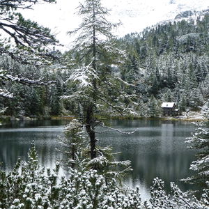 Palfnerscharte – Reedsee