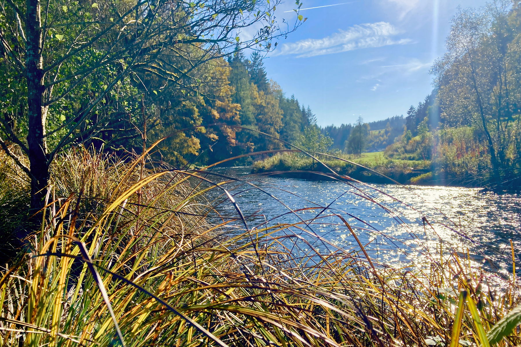 Mühl, Mühlen, Mühlviertel