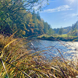 Mühl, Mühlen, Mühlviertel