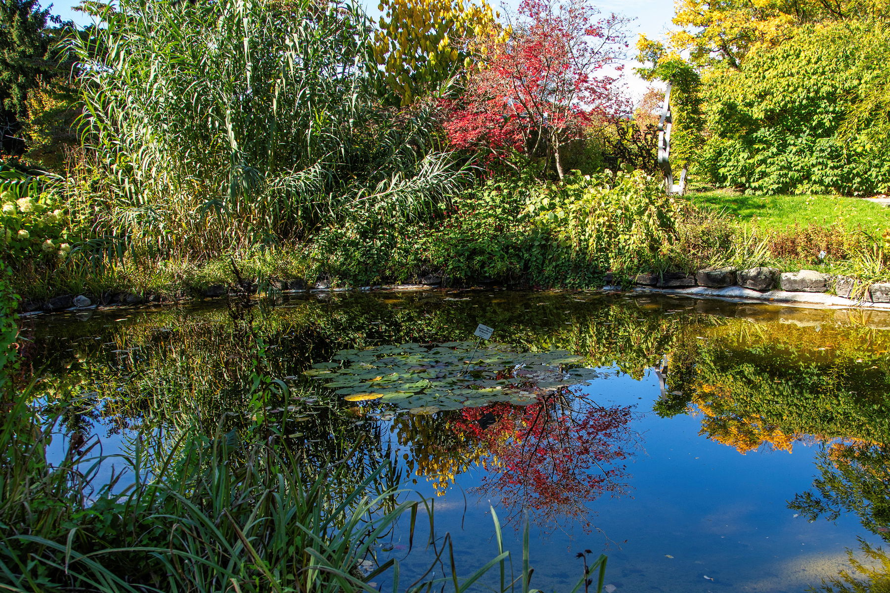 Genusstour Botanischer Garten Linz und den schönsten Aussichtsplätzen