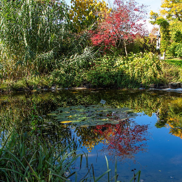 Genusstour Botanischer Garten Linz und den schönsten Aussichtsplätzen